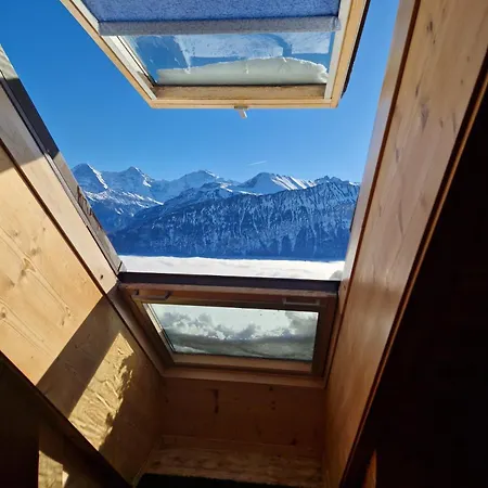 ستيرني بيتنبرغ