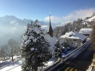 ستيرني بيتنبرغ