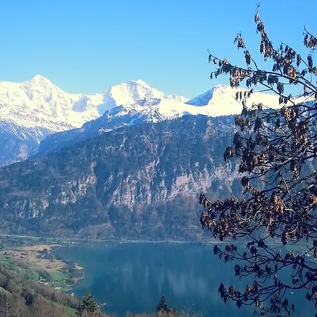 فندق ستيرني