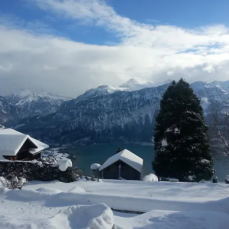 ستيرني فندق