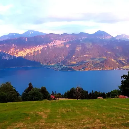 ستيرني بيتنبرغ